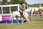 SBM_16208