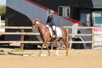 SBM_009181