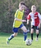 533A3952