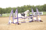 SBM_001408