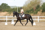 SBM_008279