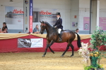 SBM_20230