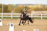 SBM_000956