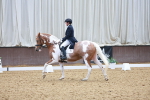 SBM_021651
