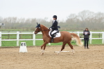 SBM_003286