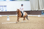SBM_007764
