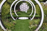 Chelsea Flower Show portfolio