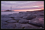 St Mary's lighthouse