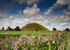 Silbury Hill Summer 1
