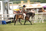 SBM_07655