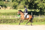 SBM_17386