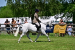 SBM_17471