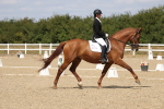 SBM_021823