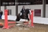 BPP_3443