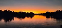 IMG_20220708_055219
