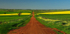 Red Road-6074