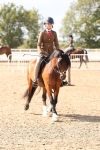 SBM_07339