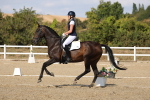 SBM_022666