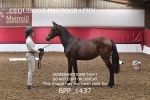 BPP_1437