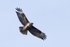 20120325-_MG_9968