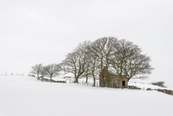 Moorside barn