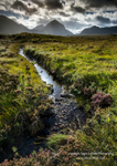 Stream to Marsco
