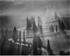 Winding into the mist