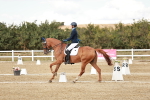 SBM_010887