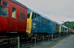 17th Sept 2007