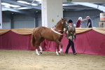 SBM_06613