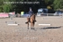 BPP_8437