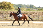 SBM_000754