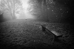 Park benches