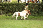 SBM_68521