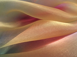 Limited Edition Prints portfolio