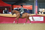 SBM_09745