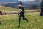 Cunswick U13-117