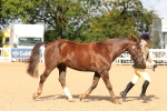 SBM_09278