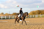 SBM_003356