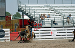 3HRodeo7-23-24_CFD_GavinH-5123_
