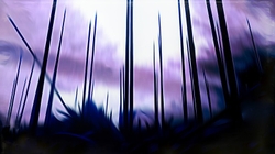 recent images portfolio