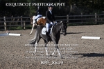 BPP_8619