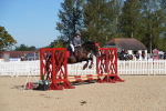 SBM_36181