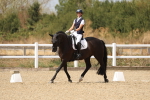 SBM_021928