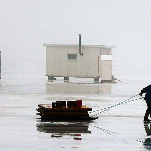 Ice shacks along the Kennebecasis River @ Renforth wharf.