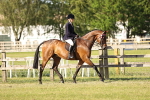SBM_20185