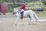 BPP_0403