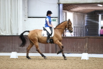 SBM_003082