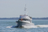 160826 BERTIE Y92A6264_Edit 2