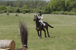 BVHT 140517  IXC -805